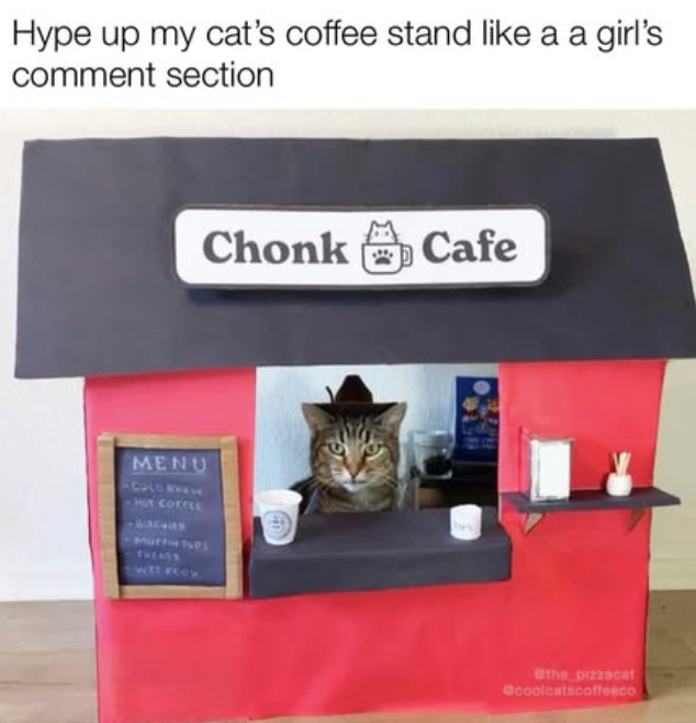 Hype up my cat's coffee stand like a a girl's comment section Chonk Cafe MENU COLD BEW Hot COFFEE MuffitupS THEATS @the pizzacat @coolcatscoffeeco