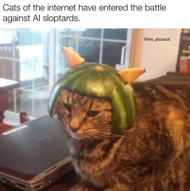 Cats of the internet have entered the battle against Al sloptards. @the_pizzacat