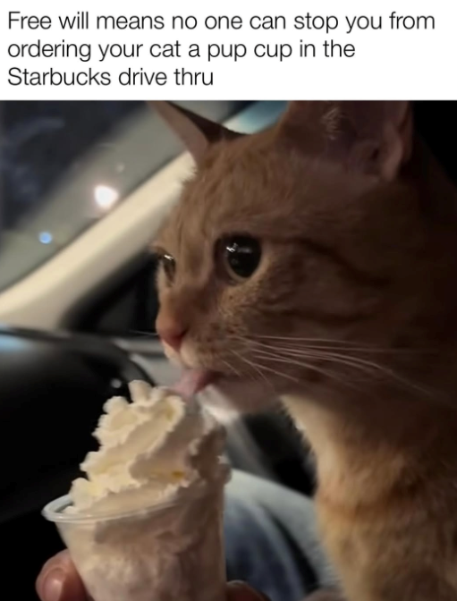 Free will means no one can stop you from ordering your cat a pup cup in the Starbucks drive thru