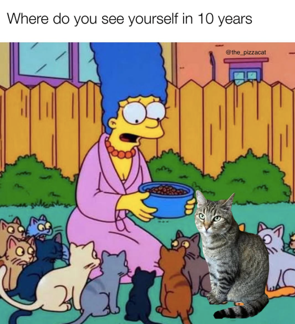 Where do you see yourself in 10 years 34 @the_pizzacat
