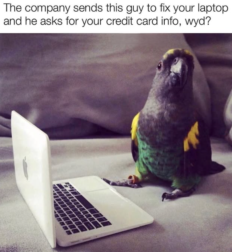 The company sends this guy to fix your laptop and he asks for your credit card info, wyd?