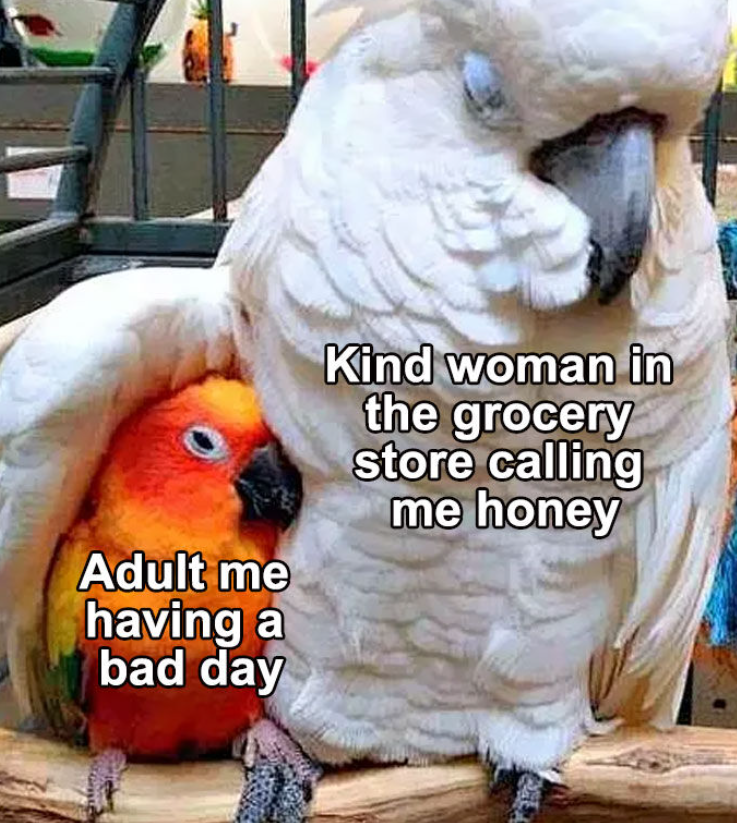 Adult me having a bad day Kind woman in the grocery store calling me honey