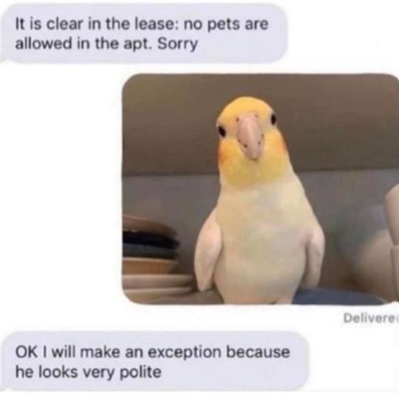 It is clear in the lease: no pets are allowed in the apt. Sorry OK I will make an exception because he looks very polite Delivered