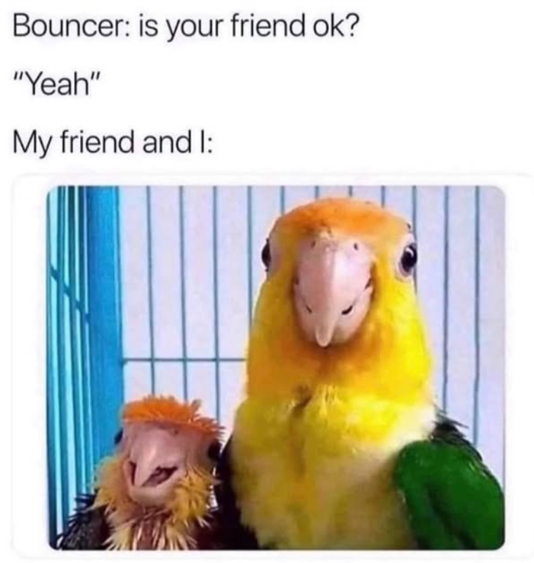 Bouncer: is your friend ok? "Yeah" My friend and I: