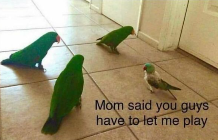 Mom said you guys have to let me play