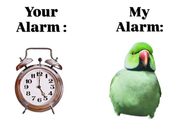 Your Alarm: My Alarm: 10 9 8 11 12 76 27 4