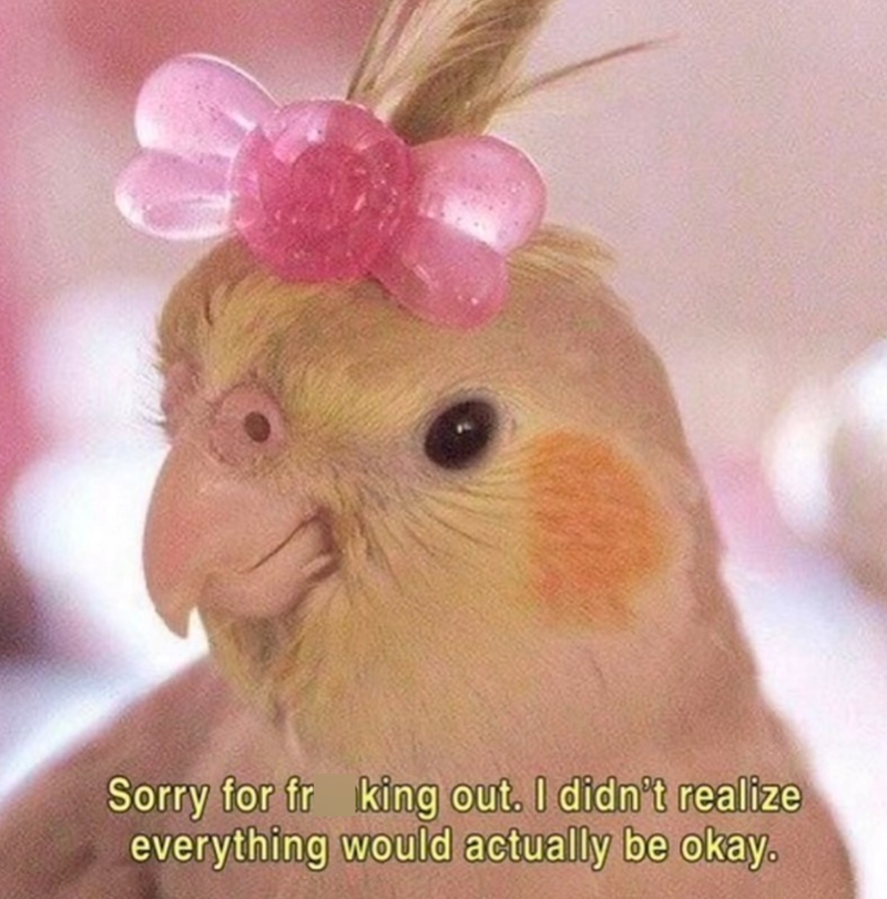 Sorry for fr king out. I didn't realize everything would actually be okay.