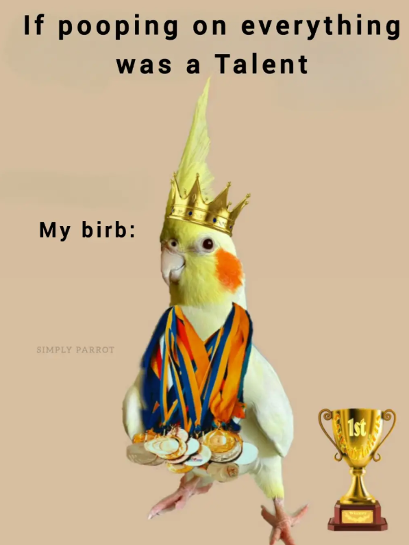 If pooping on everything was a Talent My birb: SIMPLY PARROT 1st