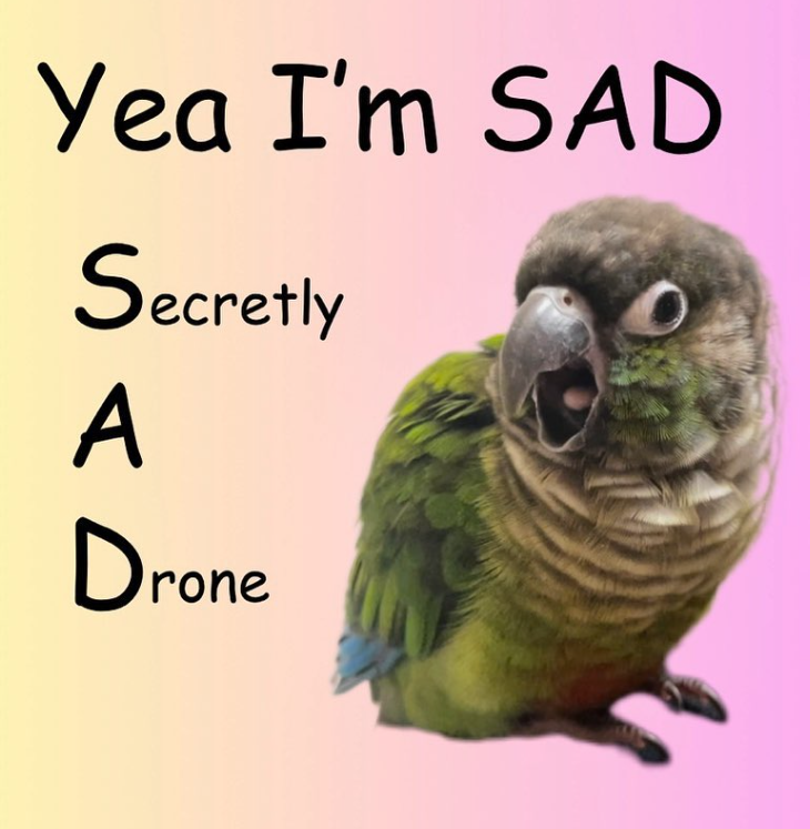Yea I'm SAD Secretly A Drone