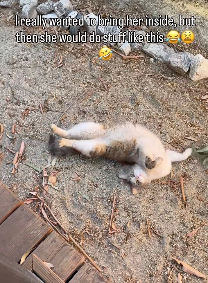 Ireally wanted to bring her inside, but then she would do stuff like this