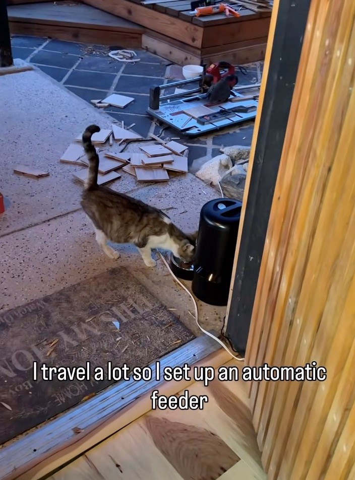HOME I travel a lot so I set up an automatic feeder Boy ISMY TON Watch