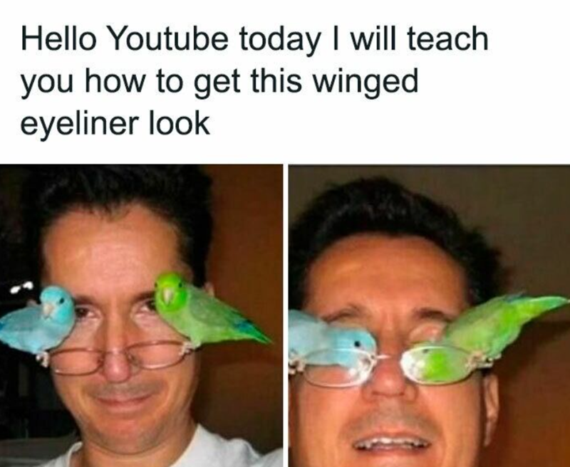 Hello Youtube today I will teach you how to get this winged eyeliner look