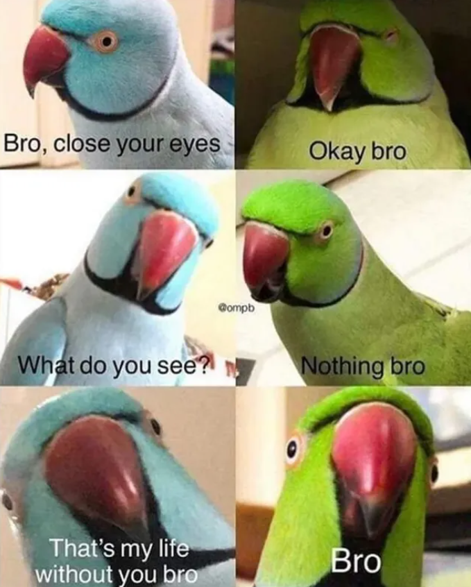 Bro, close your eyes Okay bro What do you see? Compb Nothing bro That's my life without you bro Bro