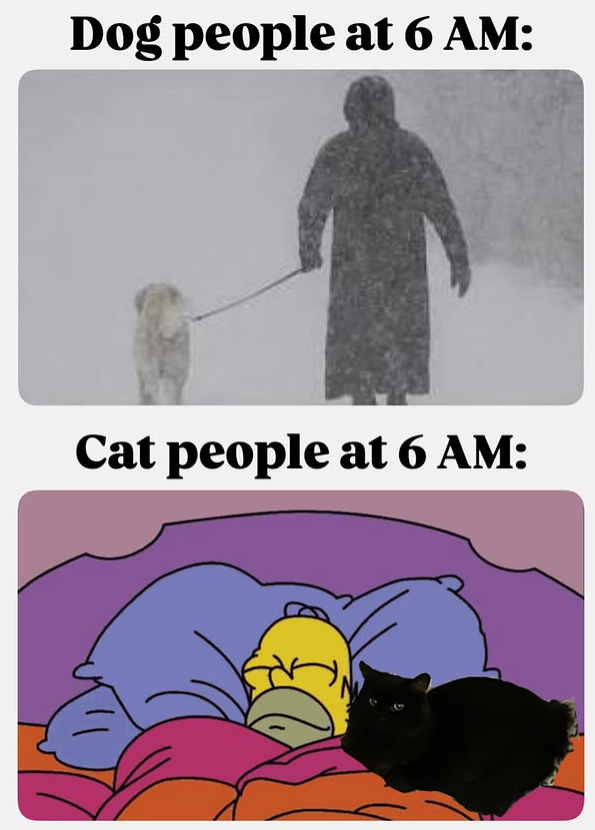Dog people at 6 AM: Cat people at 6 AM: