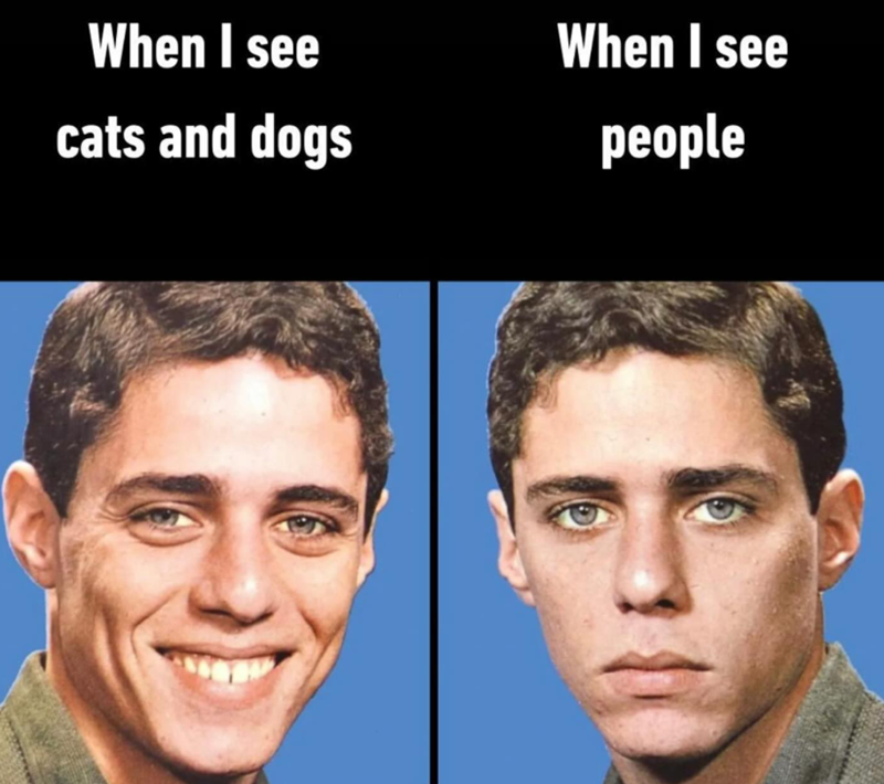 When I see cats and dogs When I see people