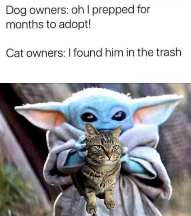 Dog owners: oh I prepped for months to adopt! Cat owners: I found him in the trash