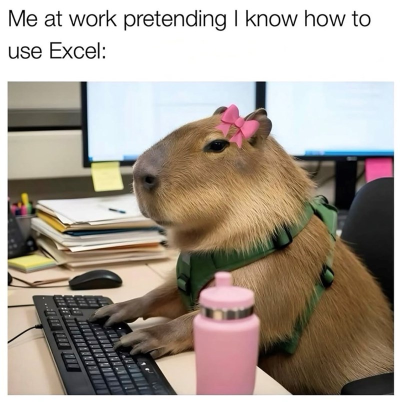 Me at work pretending I know how to use Excel: