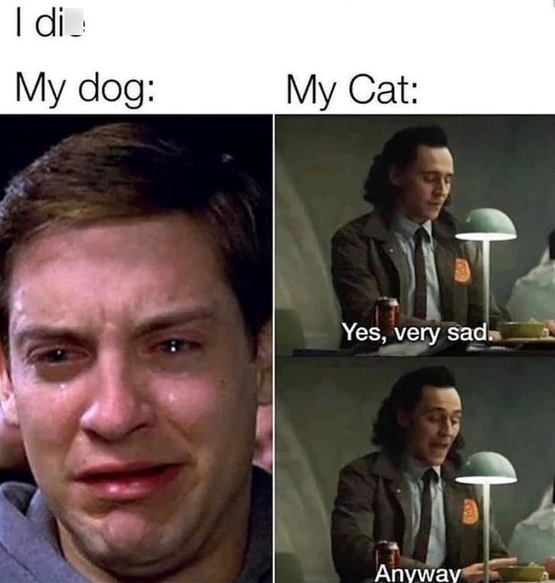 I di My dog: My Cat: Yes, very sad Anyway