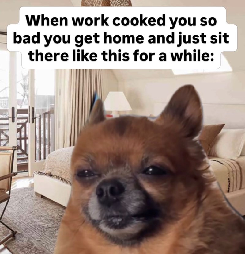 When work cooked you so bad you get home and just sit there like this for a while: