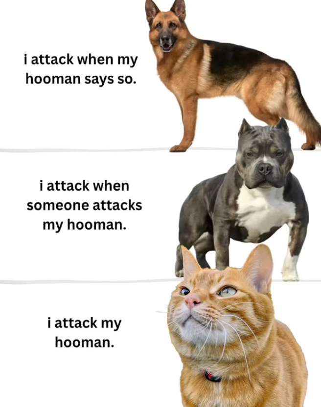 i attack when my hooman says so. i attack when someone attacks my hooman. i attack my hooman.