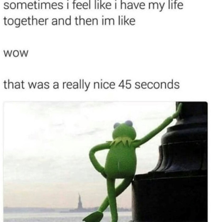sometimes i feel like i have my life together and then im like WOW that was a really nice 45 seconds.