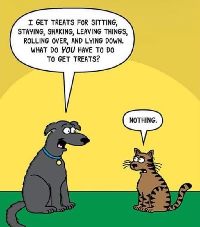 I GET TREATS FOR SITTING, STAYING, SHAKING, LEAVING THINGS, ROLLING OVER, AND LYING DOWN. WHAT DO YOU HAVE TO DO TO GET TREATS? NOTHING.