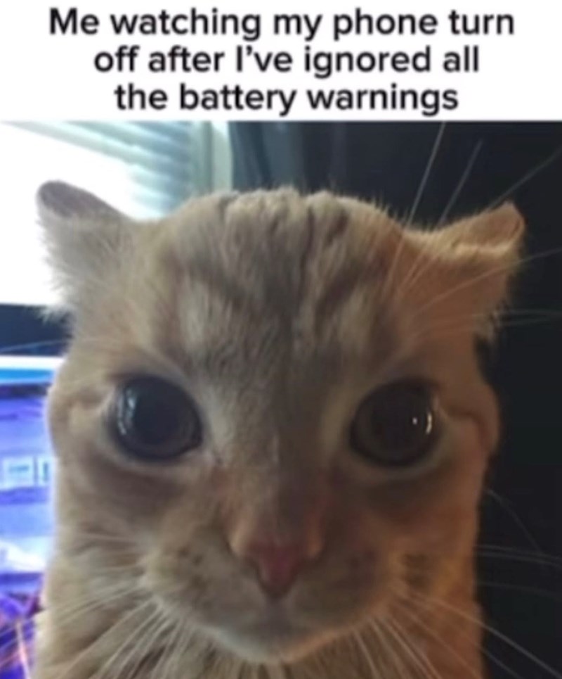 Me watching my phone turn off after I've ignored all the battery warnings