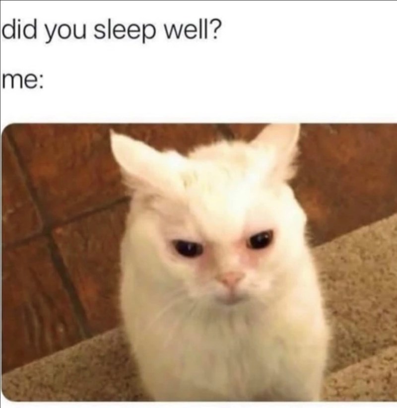 did you sleep well? me: