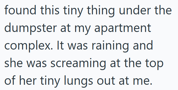 found this tiny thing under the dumpster at my apartment complex. It was raining and she was screaming at the top of her tiny lungs out at me.