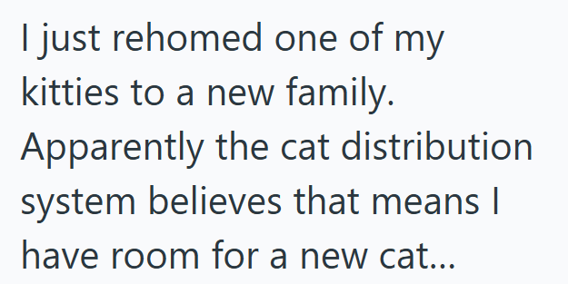 I just rehomed one of my kitties to a new family. Apparently the cat distribution system believes that means I have room for a new cat...