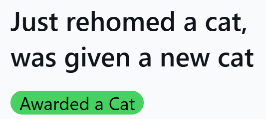 Just rehomed a cat, was given a new cat Awarded a Cat