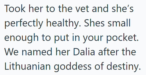 Took her to the vet and she's perfectly healthy. Shes small enough to put in your pocket. We named her Dalia after the Lithuanian goddess of destiny.