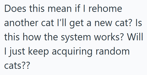 Does this mean if I rehome another cat I'll get a new cat? Is this how the system works? Will I just keep acquiring random cats??