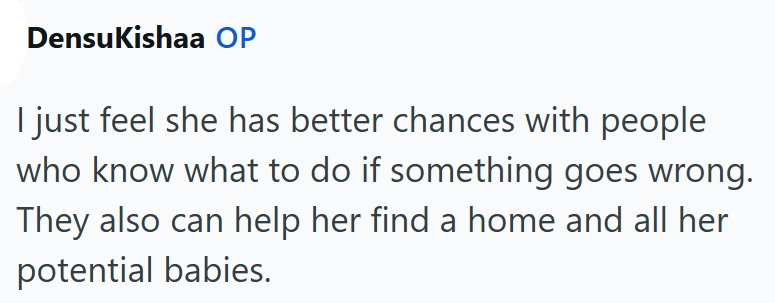 DensuKishaa OP I just feel she has better chances with people who know what to do if something goes wrong. They also can help her find a home and all her potential babies.
