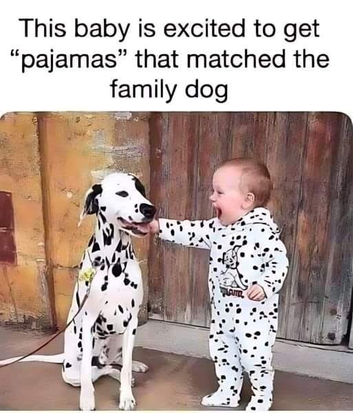 This baby is excited to get "pajamas" that matched the family dog