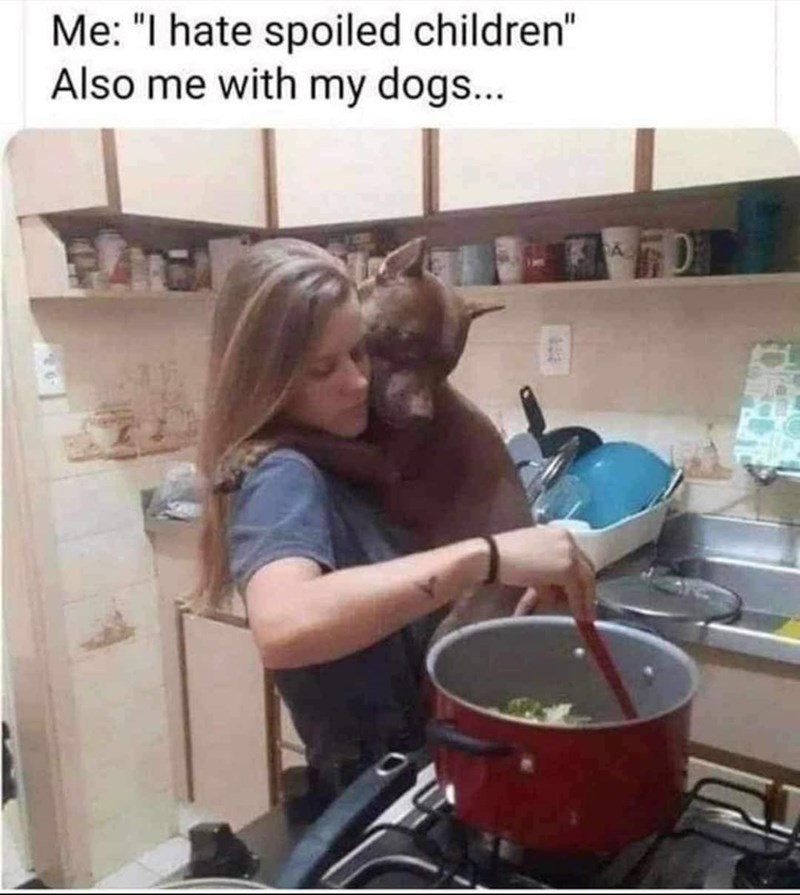 Me: "I hate spoiled children" Also me with my dogs...