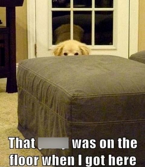 That was on the floor when I got here