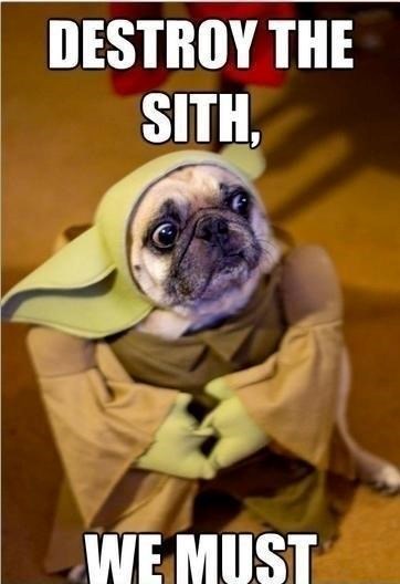 DESTROY THE SITH, WE MUST