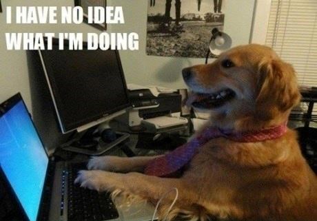 I HAVE NO IDEA WHAT I'M DOING