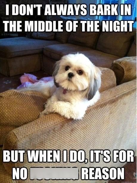 I DON'T ALWAYS BARK IN THE MIDDLE OF THE NIGHT BUT WHEN I DO, IT'S FOR NO REASON