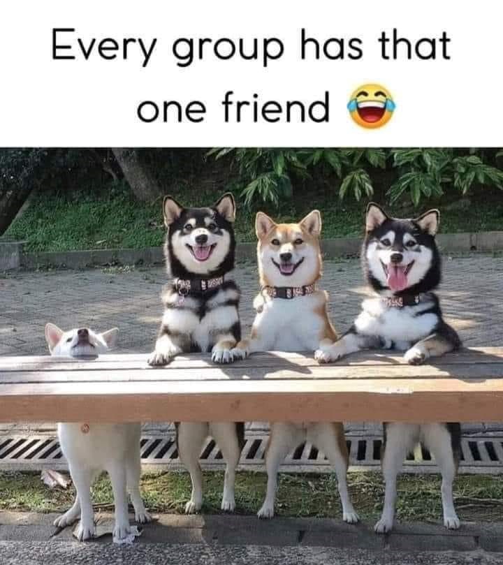 Every group has that one friend