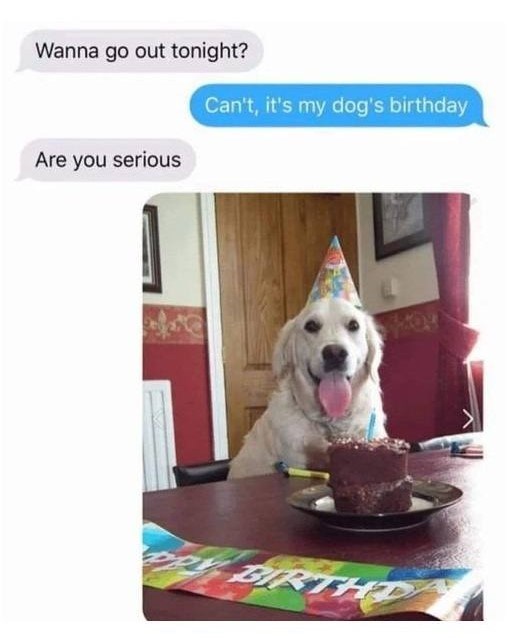 Wanna go out tonight? Are you serious Can't, it's my dog's birthday PPY BIRTH