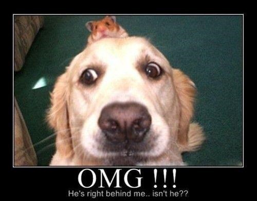 OMG!!! He's right behind me.. isn't he??