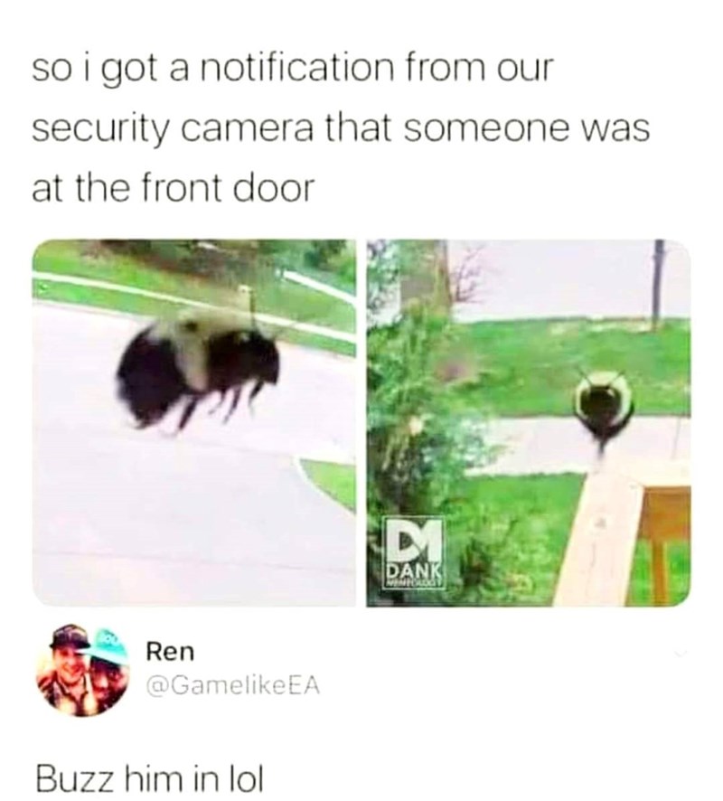 so i got a notification from our security camera that someone was at the front door Ren @GamelikeEA Buzz him in lol DI DANK WEMPOLOGY