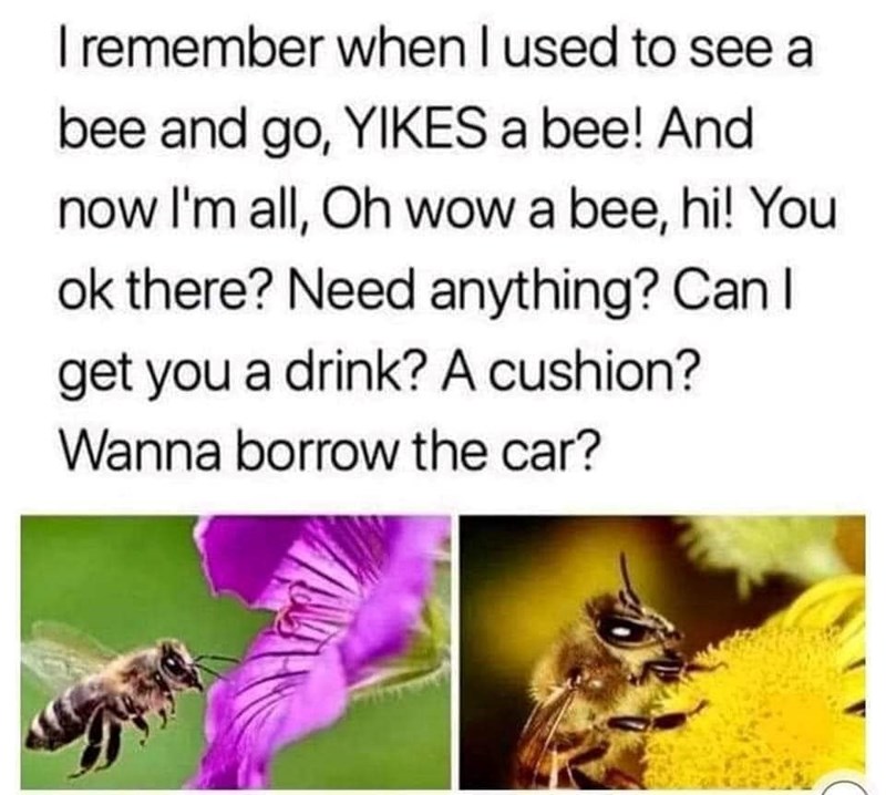 I remember when I used to see a bee and go, YIKES a bee! And now I'm all, Oh wow a bee, hi! You ok there? Need anything? Can I get you a drink? A cushion? Wanna borrow the car?