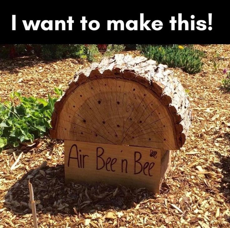 I want to make this! NS Air Been Bee