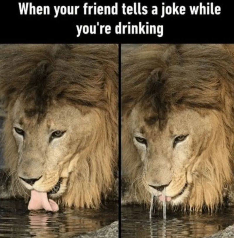 When your friend tells a joke while you're drinking