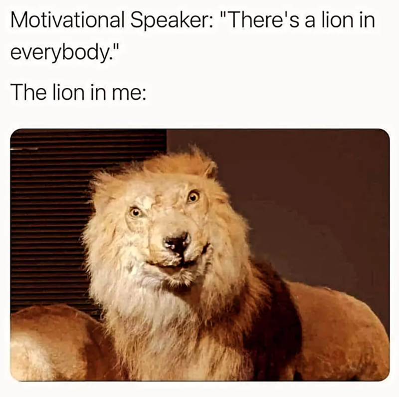 Motivational Speaker: "There's a lion in everybody." The lion in me:
