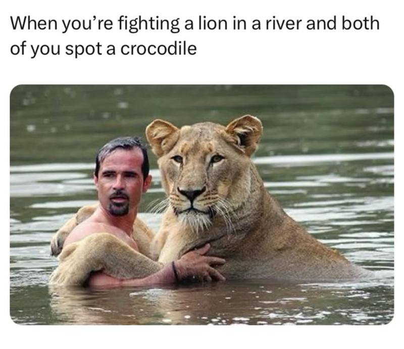 When you're fighting a lion in a river and both of you spot a crocodile