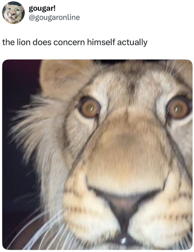 gougar! @gougaronline the lion does concern himself actually